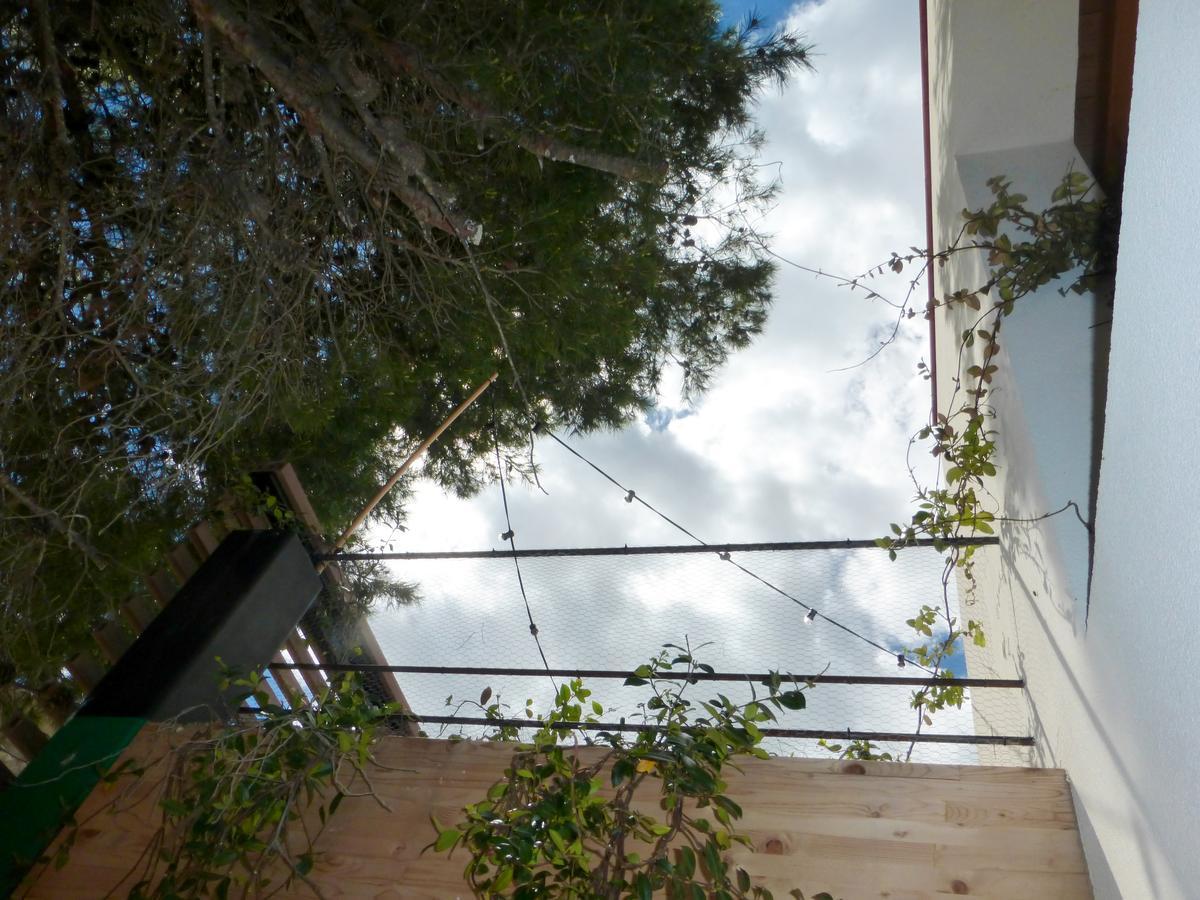 Casa Del Castell Otel Mora d'Ebre Dış mekan fotoğraf